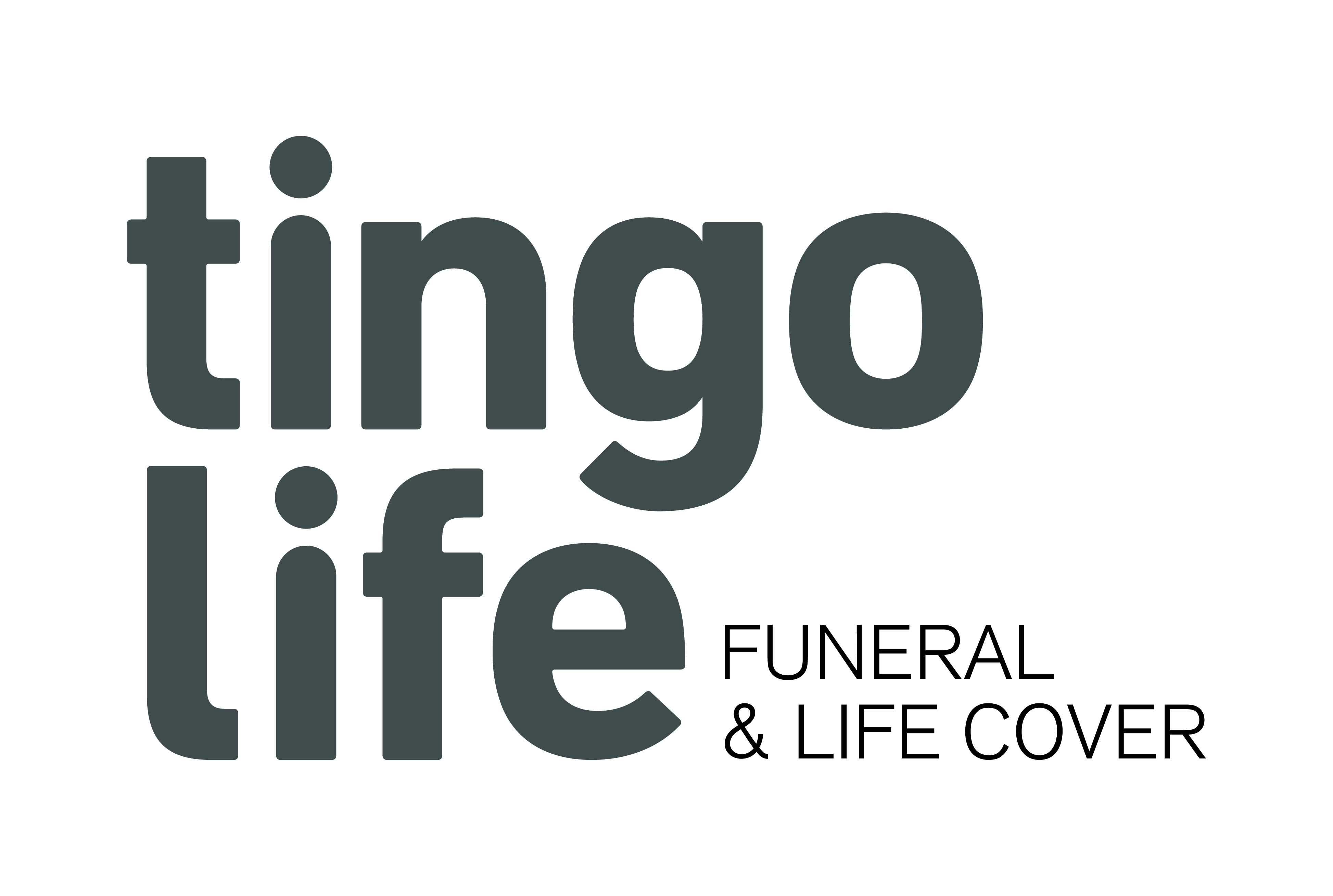 TINGO Logo